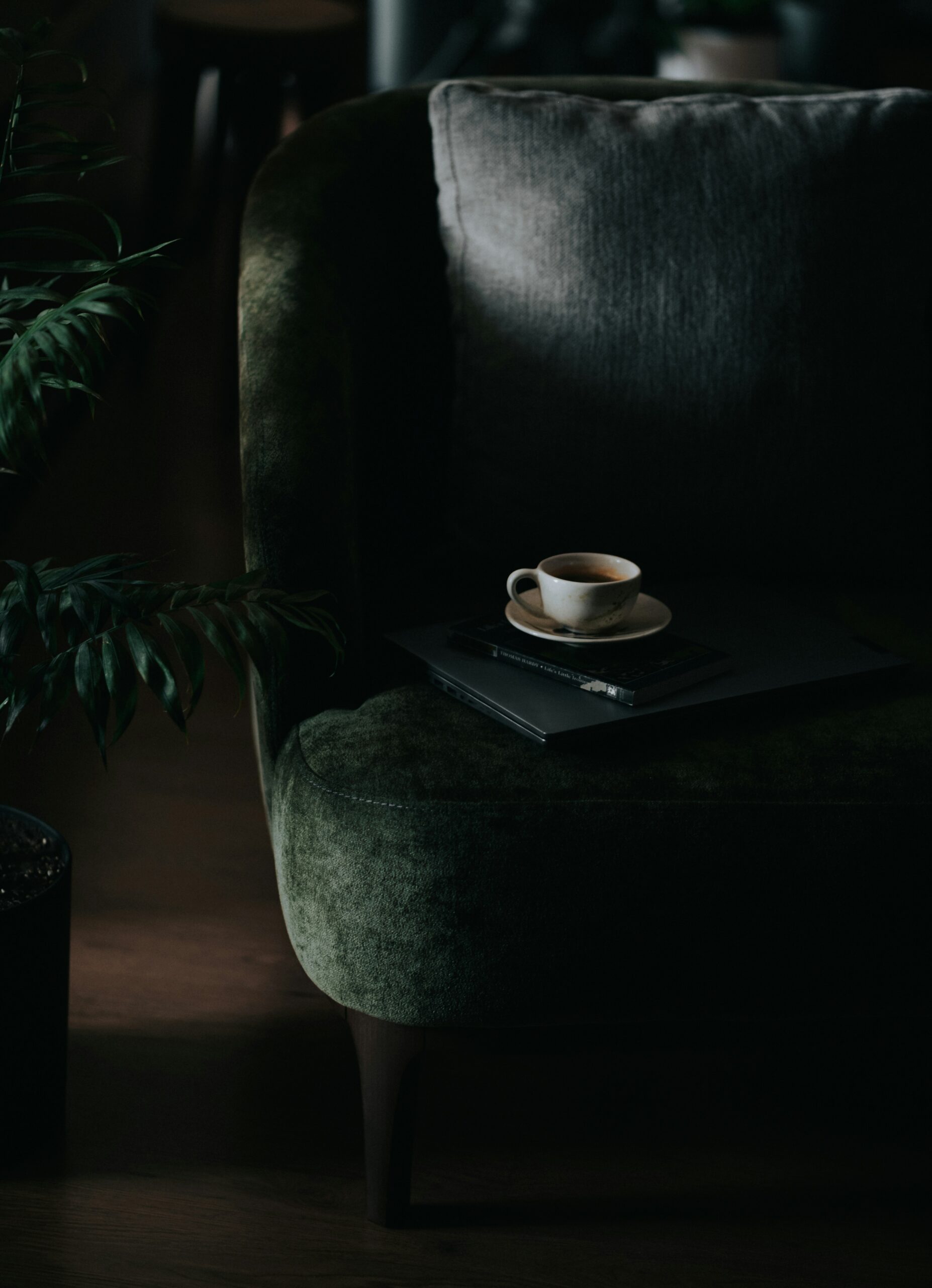 zoe-l3Tm0Z1zCH8-unsplash